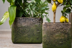 130 Polirezin saksije i žardinjere